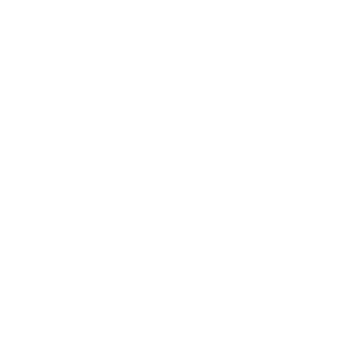 Google Partner